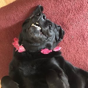 Meet your Posher, Jenna